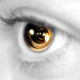 Illustration for article titled Forget Designer Purses, I Want Some Designer Eyeballs